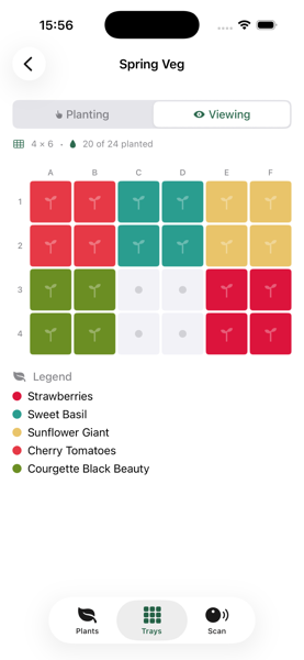 Seed tray grid with colour-coded cells